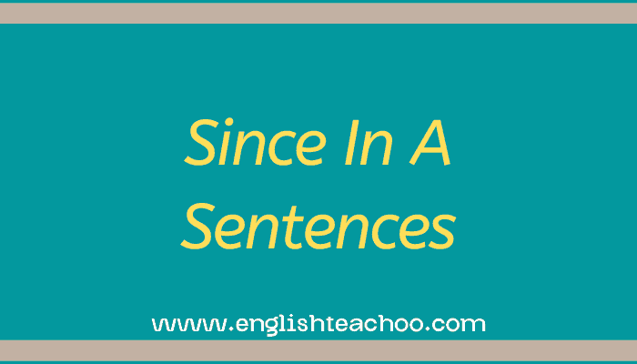 Since In A Sentences