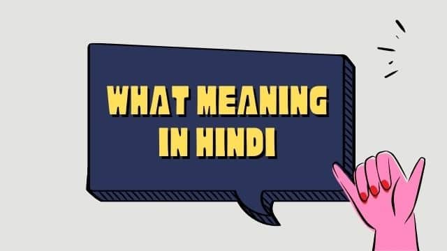 What Meaning In Hindi | What का अर्थ हिंदी में - EnglishTeachoo