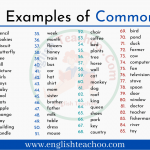 100 Examples of Common Noun