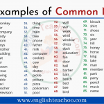 Examples of Common Noun
