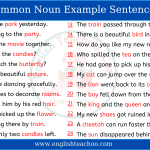 Common Noun Example Sentences