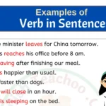 20 Examples of Verb in Sentences s