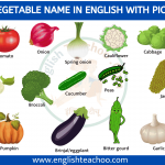 50 Vegetable Name In English With Picture