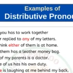 20 Examples of Distributive Pronoun In Sentences