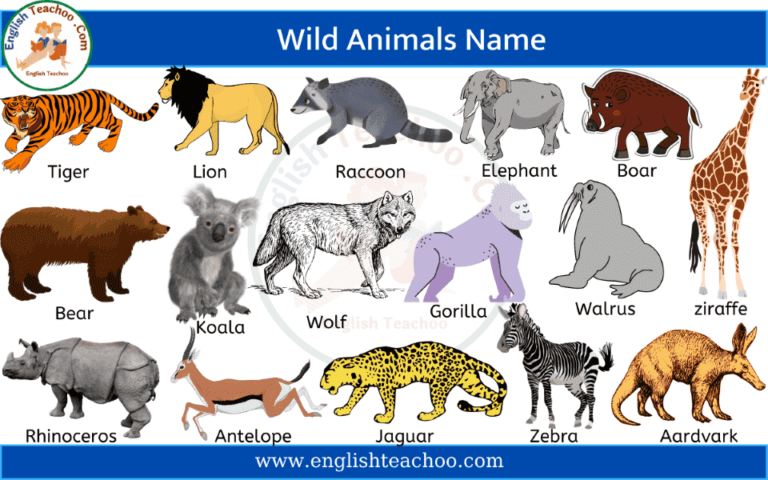list of wild animals with pictures