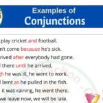 Examples of Conjunction in a Sentences