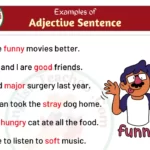 10 Examples of Adjectives In Sentences | Adjective Sentence Examples