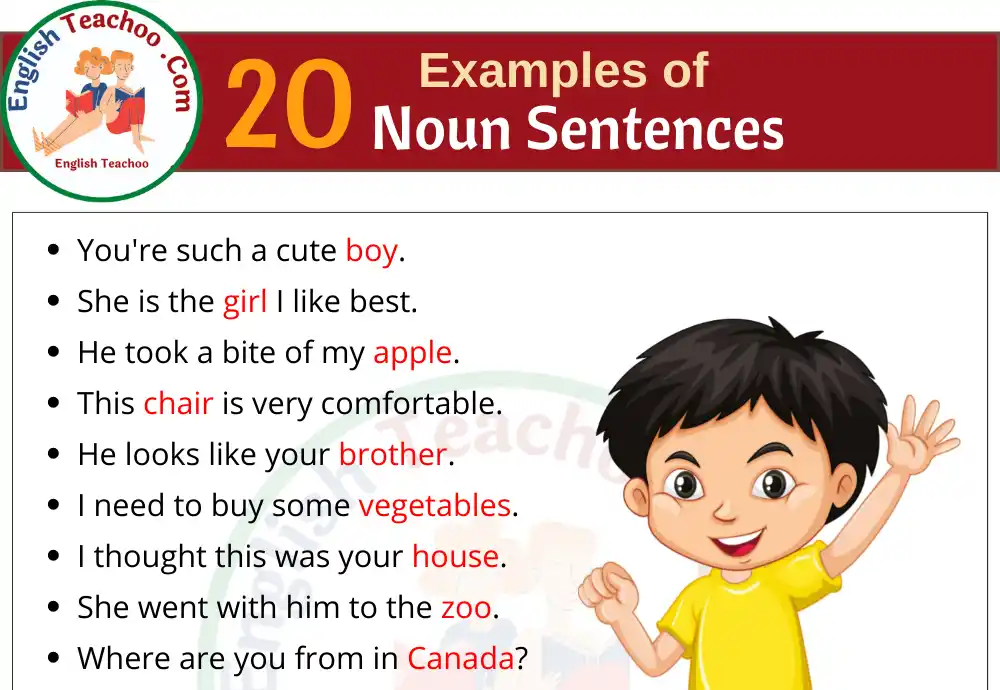 20 Examples of Nouns Sentences
