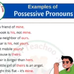 20 Examples of Possessive Pronouns Sentences