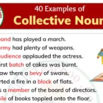 40 Examples of Collective Nouns In Sentences Collective Nouns Sentences Examples
