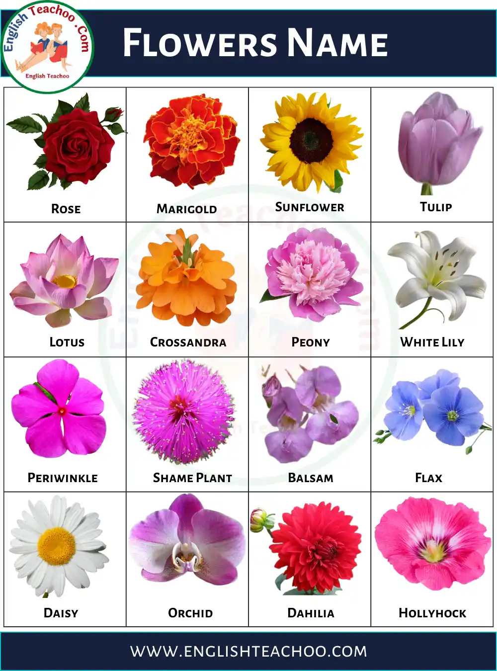 10 Flowers Name In English With Pictures, photos