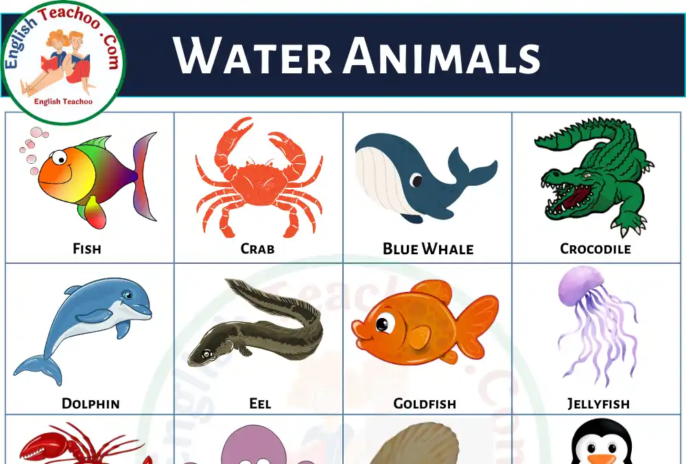 50 Water Animals Name In English With Pictures - EnglishTeachoo